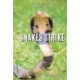 Snakes Strike