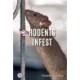 Rodents Infest