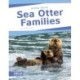 Sea Otter Families