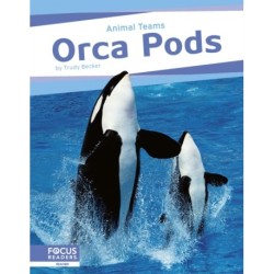 Orca Pods