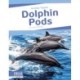 Dolphin Pods