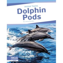 Dolphin Pods