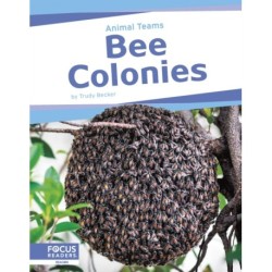 Bee Colonies