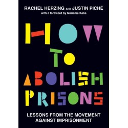 How to Abolish Prisons: Lessons from the Movement