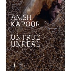 Anish Kapoor: Untrue Unreal