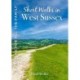 Short Walks in West Sussex: 20 Circular Walks for all the Family