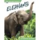 Elephants