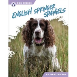 English Springer Spaniels