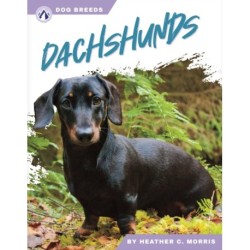Dachshunds