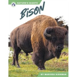 Bison