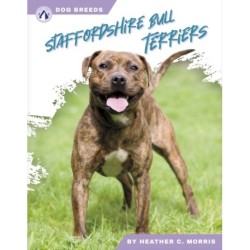 Staffordshire Bull Terriers