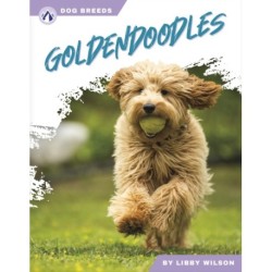 Goldendoodles