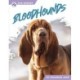 Bloodhounds