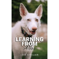 Learning from Albi