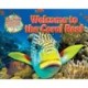 Welcome to the Coral Reef