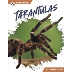 Tarantulas