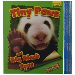 Whose Little Baby Are You? 6-book set