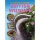 Let's Explore Nature and British Wildlife