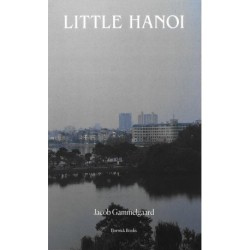 Little Hanoi