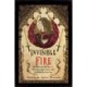 Invisible Fire: Traditional Themes in Western Mysticism and Sethian Gnosticism