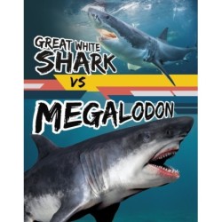 Great White Shark vs Megalodon