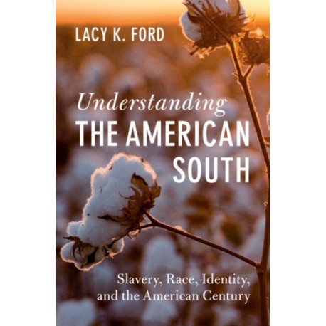 Understanding the American South: Slavery, Race, Identity, and the American Century