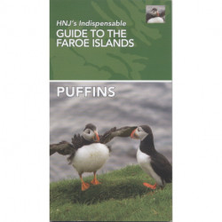 Puffins: HNJ's Indispensable Guide To The Faroe Islands