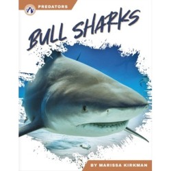 Bull Sharks