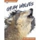 Gray Wolves