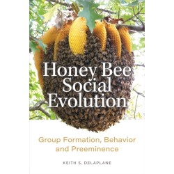Honey Bee Social Evolution: Group Formation, Behavior, and Preeminence