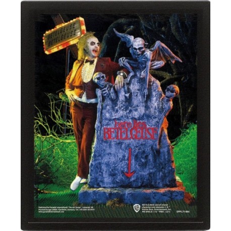Beetlejuice (Graveyard) - Framed 3D