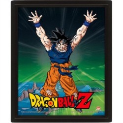 Dragon Ball Z (Power Levels Increased) - Framed