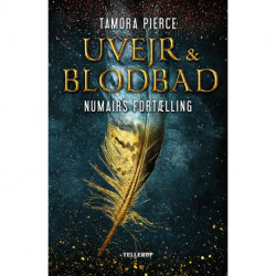 Numairs fortælling -2: Uvejr og blodbad