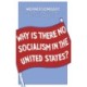 Why is There No Socialism In the United States