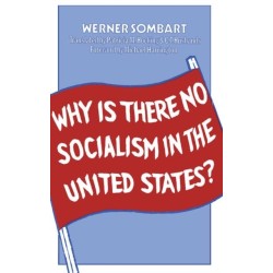 Why is There No Socialism In the United States