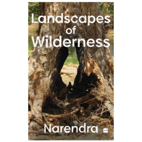Landscapes Of Wilderness