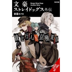 Bungo Stray Dogs: Another Story (light novel)
