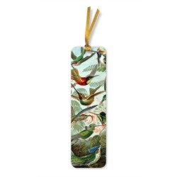 Ernst Haeckel: Hummingbirds Bookmarks (pack of 10)