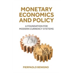 Monetary Economics and Policy: A Foundation for Modern Currency Systems