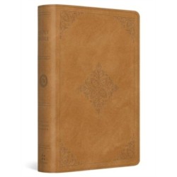 ESV Large Print Bible