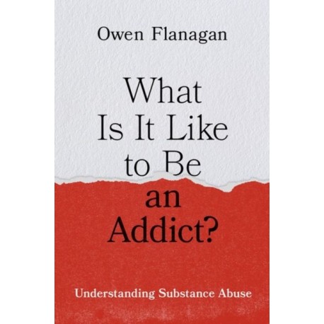What Is It Like to Be an Addict?: Understanding Substance Abuse