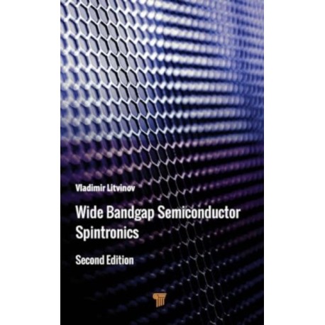 Wide Bandgap Semiconductor Spintronics