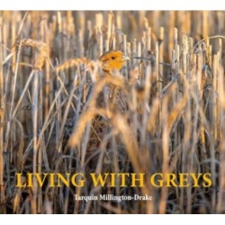 Living with Greys: A celebration of the grey partridge