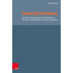 Heavenly Providence: A Historical Exploration of the Development of Calvin's Biblical Doctrine of Divine Providence