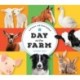 Animal Adventures: Day at the Farm