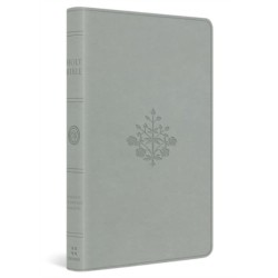 ESV Large Print Value Thinline Bible