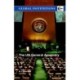 The UN General Assembly