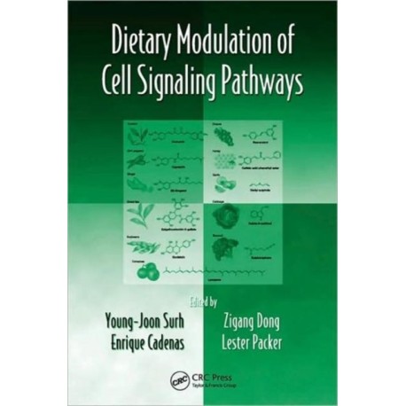 Dietary Modulation of Cell Signaling Pathways