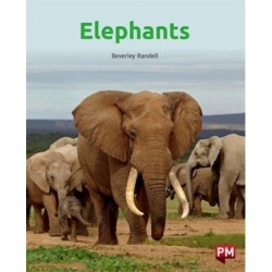 ELEPHANTS