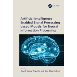 Artificial Intelligence Enabled Signal Processing based Models for Neural Information Processing